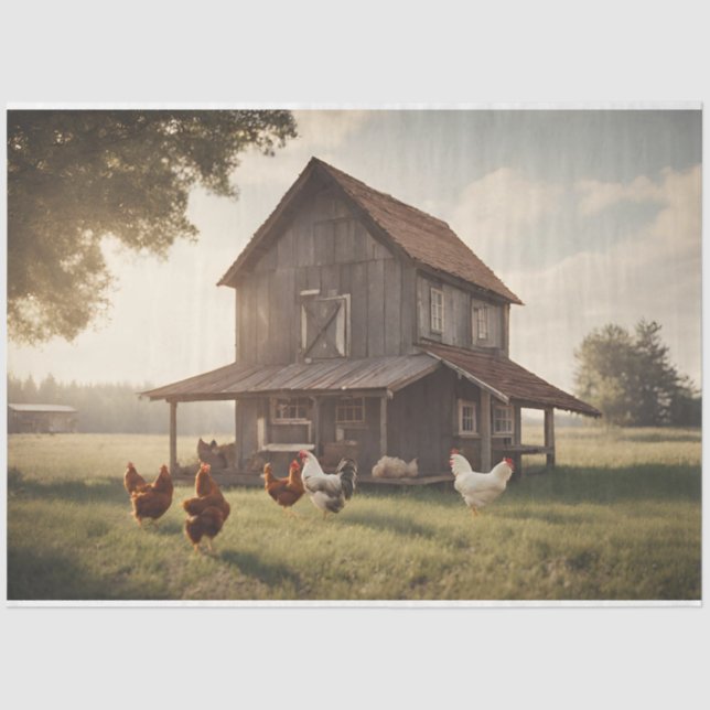 Rustic Chicken Decouapge 18lbs Tissue Paper (Front)