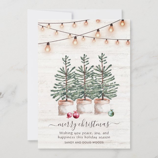 Rustic Christmas Trees Holiday Card With Greeting (Front)