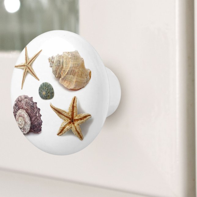 rustic coastal  beach chic seashell starfish ceramic knob (rustic coastal beach chic seashell starfish ceramic knob)
