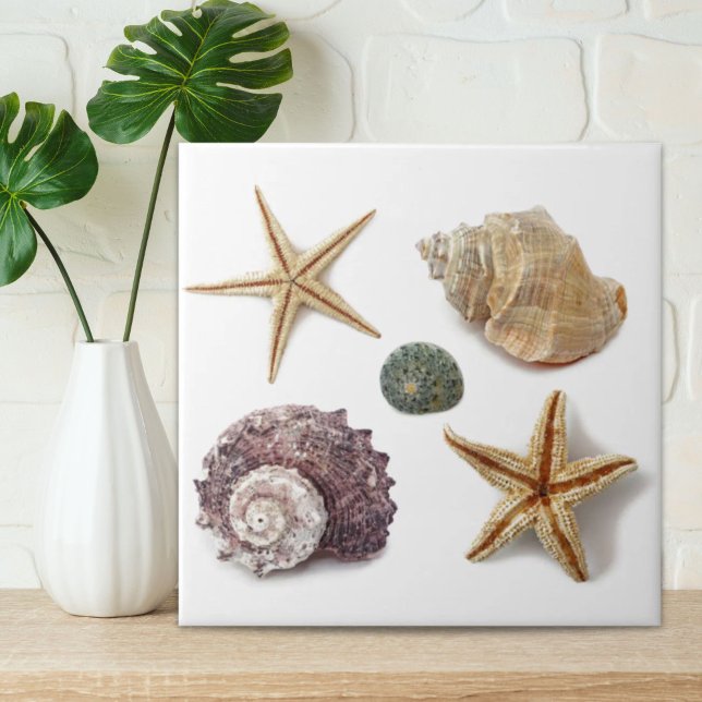 rustic coastal  beach chic seashell starfish ceramic tile (rustic coastal beach chic seashell starfish ceramic tile)