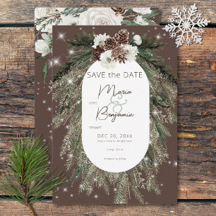 Rustic Cocoa Pine Winter Sparkle Wedding Save The Date