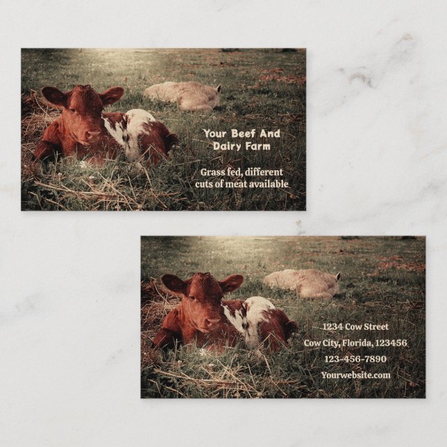Rustic Country Cow Beef And Dairy Farm Business Card (Front/Back)