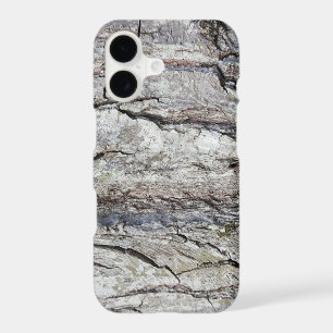 Rustic Country Nature Oak Tree Photo