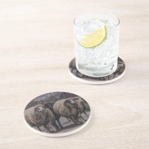 Rustic country road ranch farm herd of sheep coaster