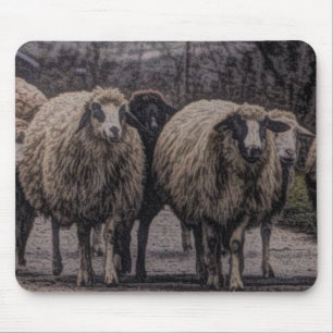 Rustic country road ranch farm herd of sheep mouse pad