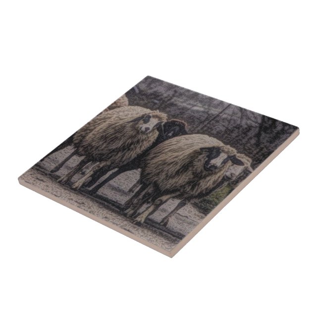 Rustic country road ranch farm herd of sheep tile (Side)