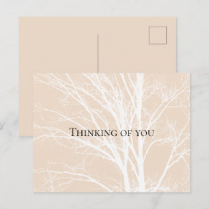 Rustic Cream White Tree Branches Postcard