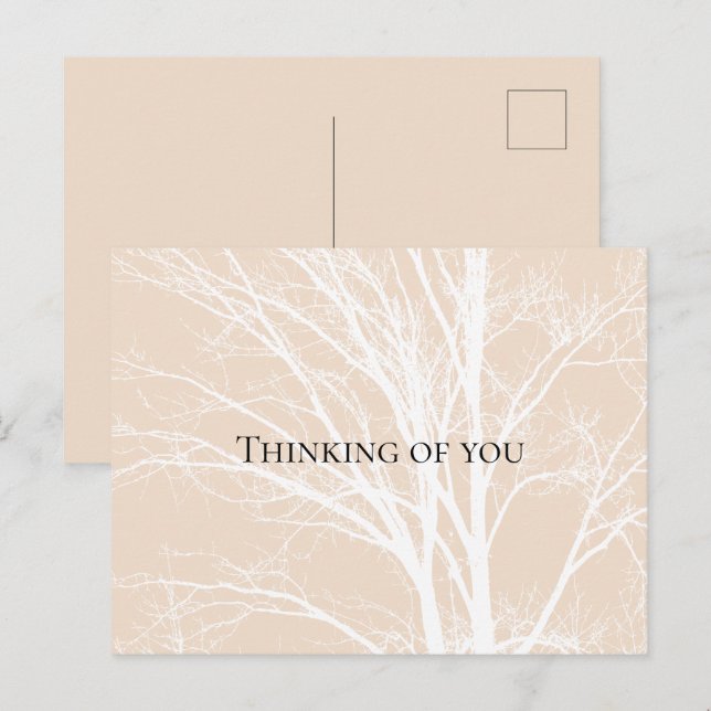 Rustic Cream White Tree Branches Postcard (Front/Back)