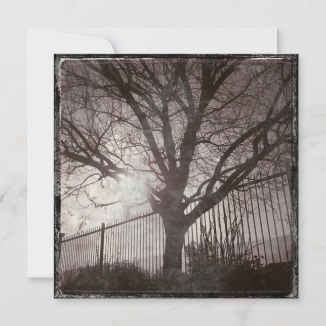 Rustic Distressed Tree Silhouette Grunge (Front)