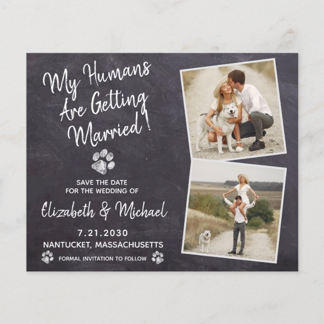Rustic Dog Wedding Budget Save The Date Postcard (Front)