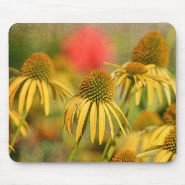 Rustic Echinacea Flowers Mouse Pad (Front)