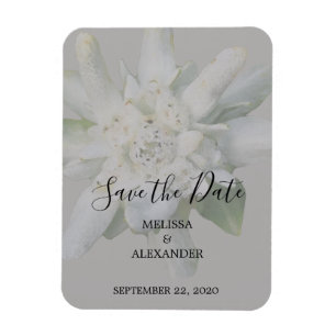 Rustic Edelweiss flower wedding Save the Date Magnet