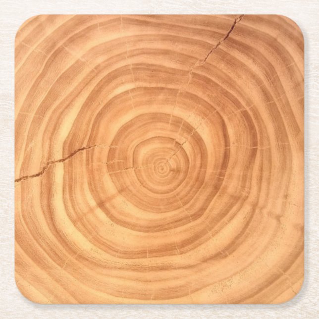 Rustic Elm Wood Grain Branch Slice Paper Coaster (Front)