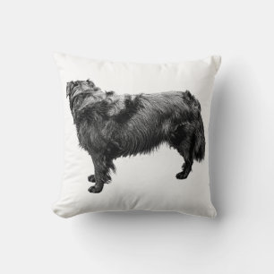 Rustic Equinox Cushion