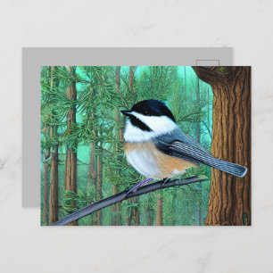 Rustic Evergreen Pine Chickadee Postcard