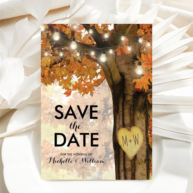 Rustic Fall Autumn Tree Lights Save the Date Announcement Postcard (Creator Uploaded)