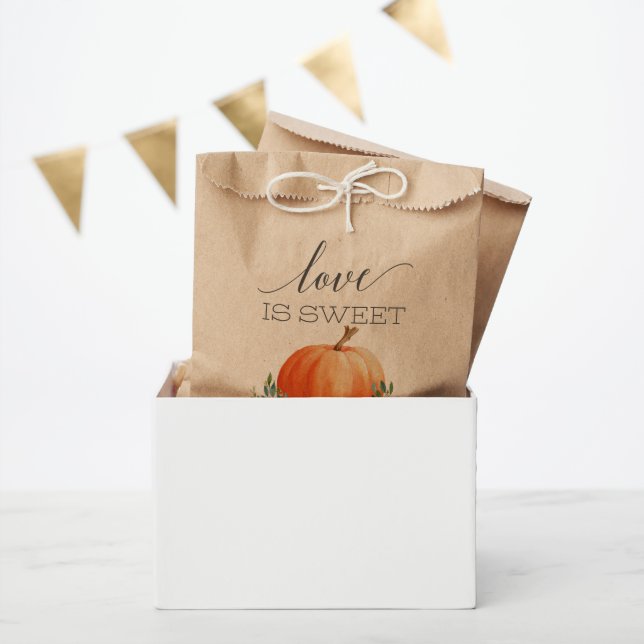 Rustic Fall Floral Pumpkin Favour Bag (Party)