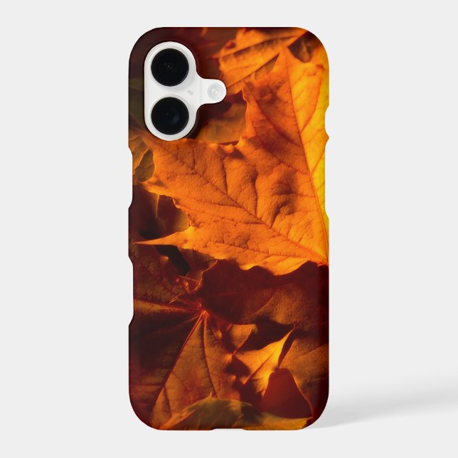 Rustic Fall Leaves Autumn Foliage Photo (Back)