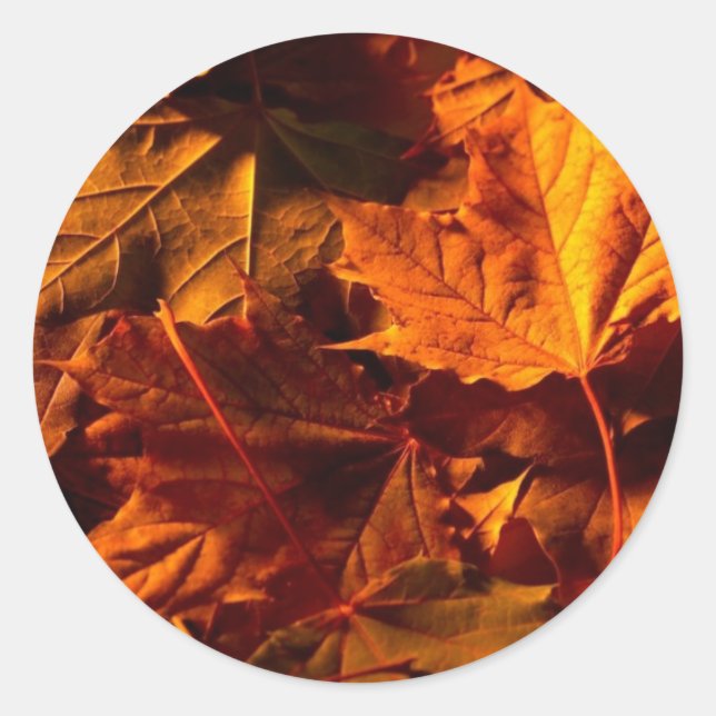 Rustic Fall Leaves Wedding Invitation Custom Seal (Front)