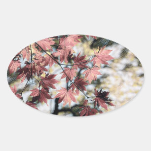 Rustic fall maple leaves rusty red pink brown oval sticker