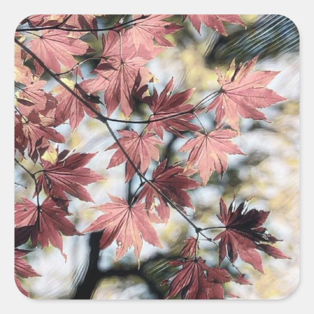 Rustic fall maple leaves rusty red pink brown square sticker (Front)