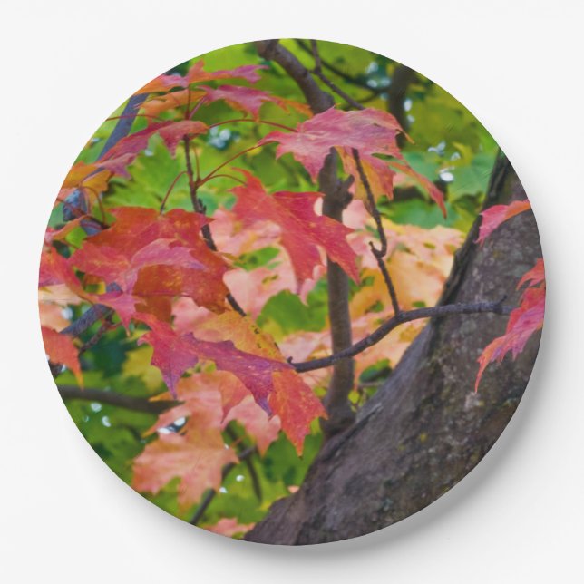 Rustic Fall Wedding Colours Autumn Foliage Photo Paper Plate (Front)