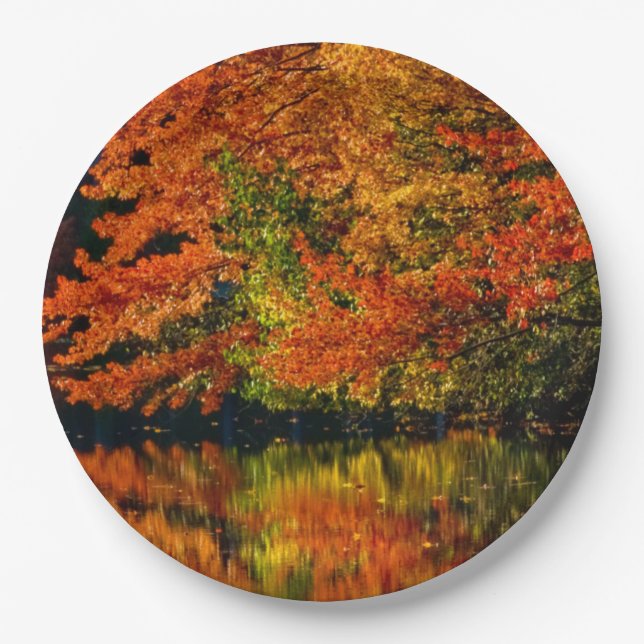 Rustic Fall Wedding Colours Autumn Reflection Paper Plate (Front)