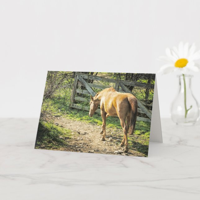 Rustic Farm Horse Card (Small Plant)