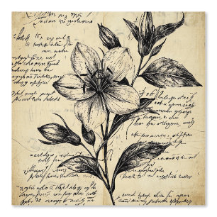 Rustic Floral Sketch with Calligraphy - Aged (5) Wallpaper