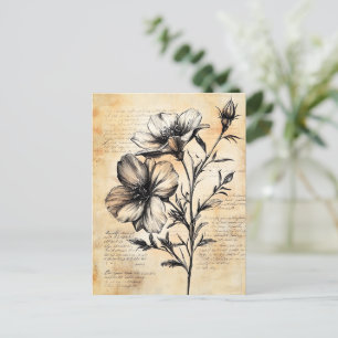 Rustic Floral Sketch with Calligraphy - Aged (6) Postcard