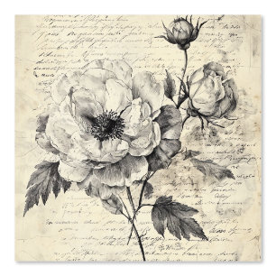 Rustic Floral Sketch with Calligraphy - Aged (7) Wallpaper