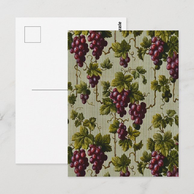 Rustic French Country Vineyard Grapevine Art Postcard (Front/Back)