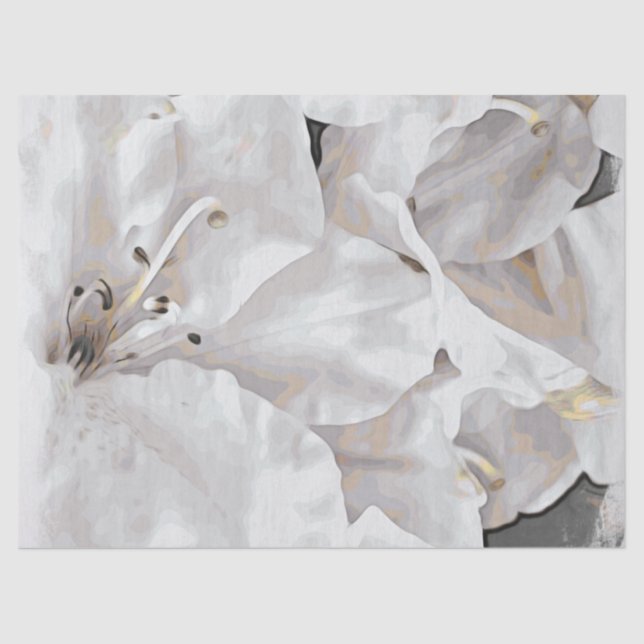 *~* Rustic Grunge Azalea Flowers White Neutral Tissue Paper (Front)