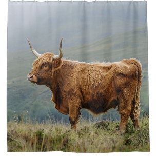 Rustic Highland Cow Misty Morning Shower Curtain