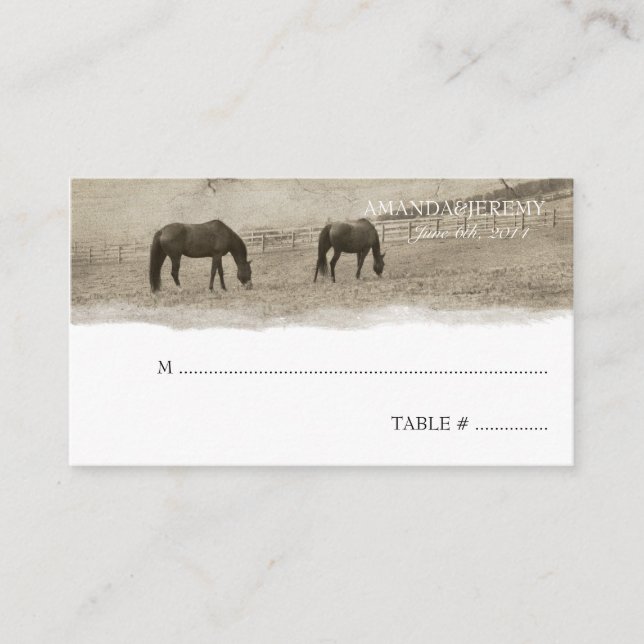 Rustic Horse Farm Seating Cards (Front)