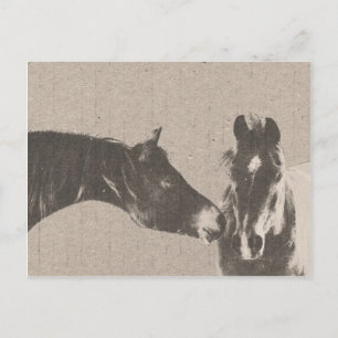 Rustic Horse Heads Postcard