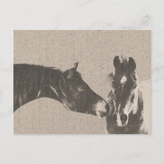 Rustic Horse Heads Postcard (Front)