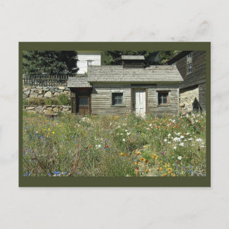 Rustic House in Wildflowers Postcard