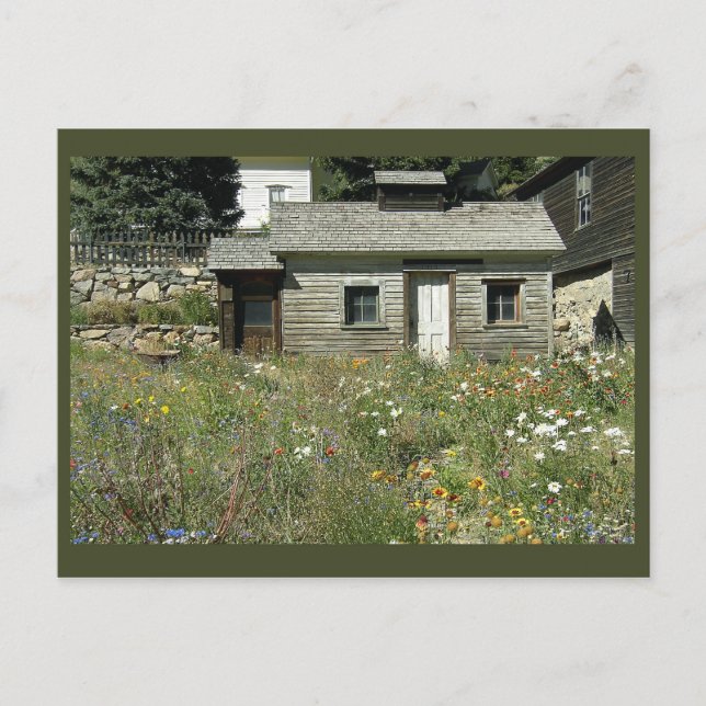 Rustic House in Wildflowers Postcard (Front)