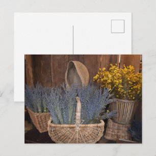 Rustic Lavender Harvest Postcard