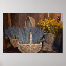 Rustic Lavender Harvest