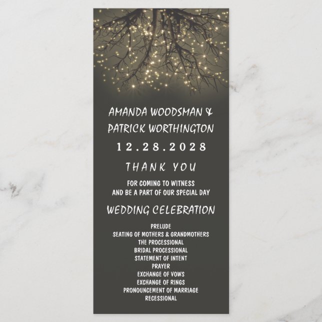 Rustic Lighted Tree Branch Wedding Programs (Front)