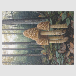 Rustic Morel Mushrooms Illustration Decoupage Tissue Paper