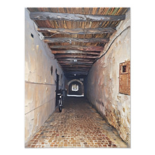 Rustic Narrow Alleyway With Bicycle Amidst Texture Photo Print
