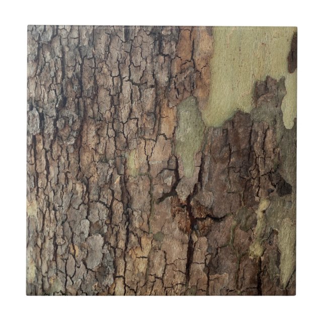 Rustic natural distressed tree bark forest trees  ceramic tile (Front)