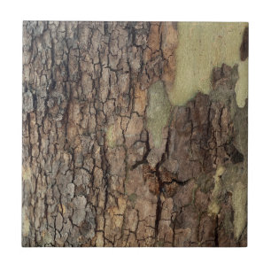 Rustic nature, tree bark, forest trees  ceramic tile