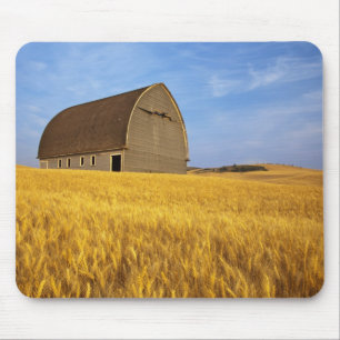 Rustic old barn in mature wheat field in the 2 mouse pad