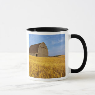 Rustic old barn in mature wheat field in the 2 mug
