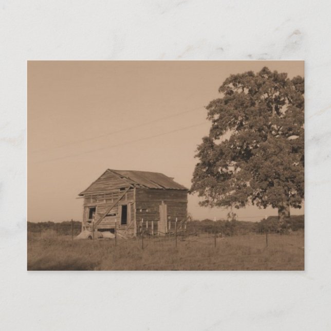 Rustic old barn postcard (Front)