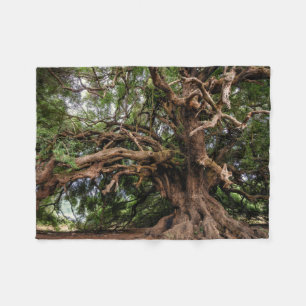 Rustic Old Olive Tree Fleece Blanket